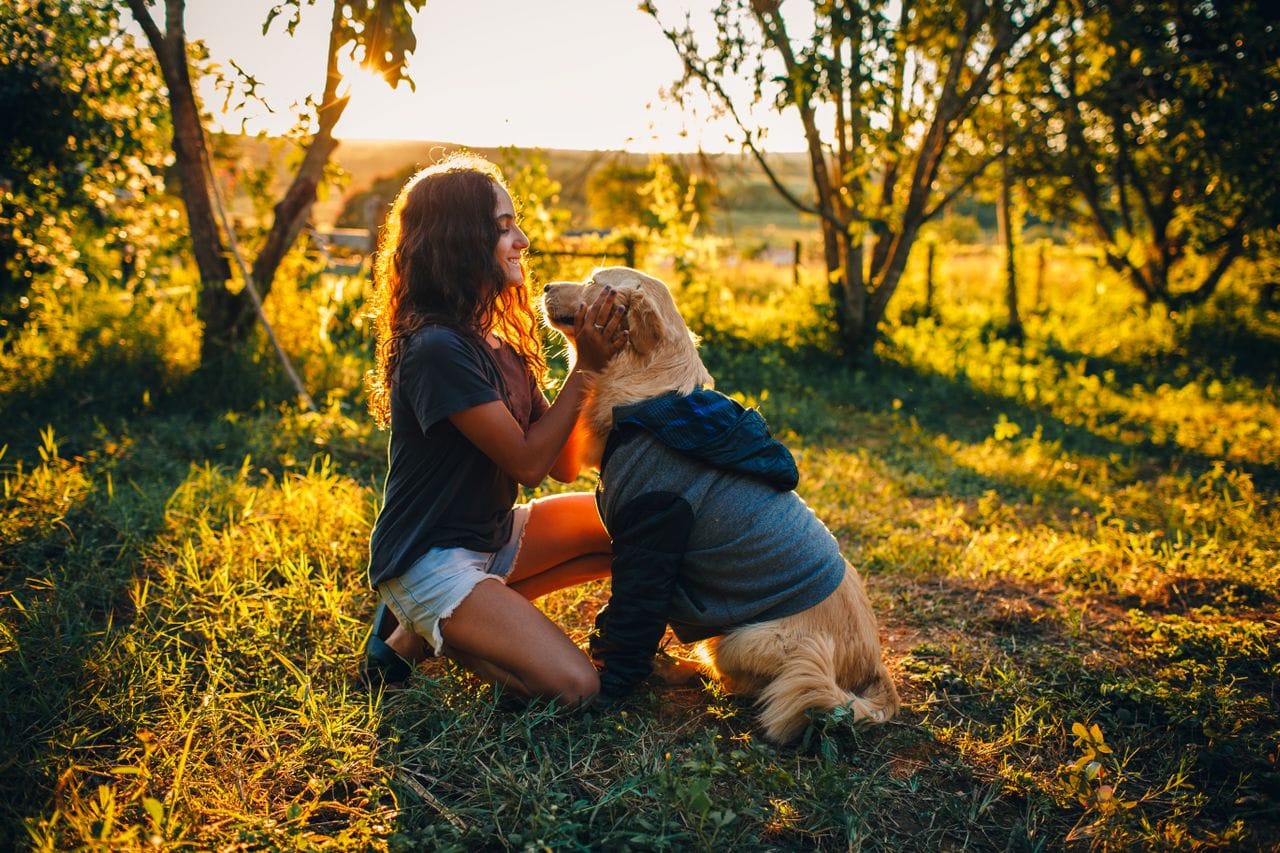 En kvinna kelar med en golden retriever utomhus